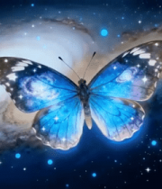 星空背景下的梦幻蝴蝶7261#横屏 