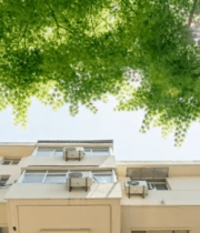 小区树木下仰视楼房637#横屏 