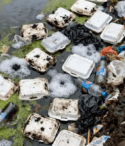 河边垃圾污染景象6503#横屏 