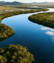 	 河流湿地森林自然风光俯瞰6057#横屏 