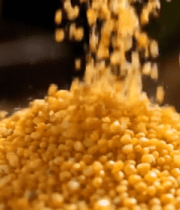 小米洒落特写素材10572#横屏 