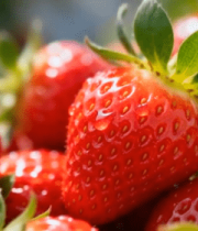 新鲜草莓特写素材1526#横屏 