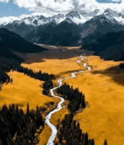 新疆雪山森林风光俯瞰2683#横屏 