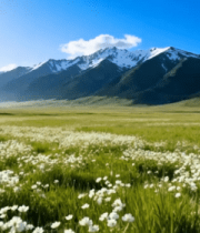 新疆草原雪山自然风光13090#横屏 