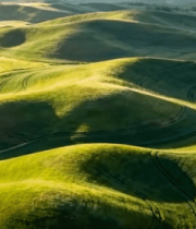 航拍起伏绿色田野风光12664#横屏 