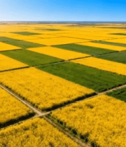 航拍大片农田风光11596#横屏 