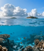 海洋珊瑚礁及热带鱼景观10374#横屏 