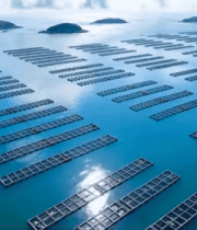 海上渔业养殖俯瞰全景12250#横屏 