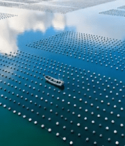 海上养殖设施俯瞰画面4674#横屏 