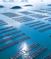 海上渔业养殖俯瞰全景12250#横屏 