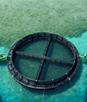 海上圆形海水养殖设施航拍10059#横屏 