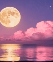 海上明月夜空美景3649#横屏 