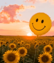 向日葵田中的笑脸气球7513#横屏 