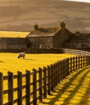 乡村牧场田园风光3746#横屏 