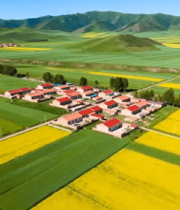 乡村田野油菜花航拍全景(1)9407#横屏 