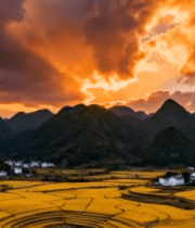 乡村稻田夕阳全景14563#横屏 