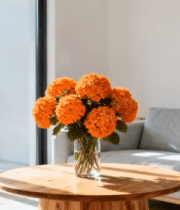 现代客厅沙发茶几花卉素材5864#横屏 