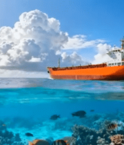 鱼群景观10723#横屏 