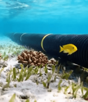 海底管道及周边珊瑚海草景观595#横屏 