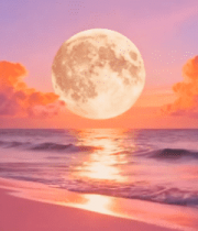 	 海边月夜唯美自然景观3304#横屏 