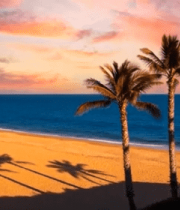 海边日落棕榈树风景7348#横屏 