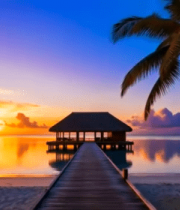 海边日落时棕榈树与栈桥景观2701#横屏 