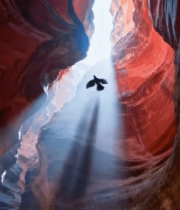 峡谷中飞鸟与阳光穿透岩石景观9166#横屏 