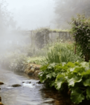 溪边小屋自然风光7647#横屏 