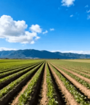 广阔农田田园风光景象7248#横屏 