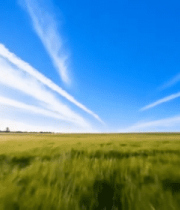 广阔草地自然风光素材14006#横屏 