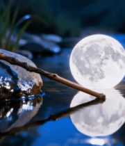 溪边羽毛与圆月倒影素材5243#横屏 