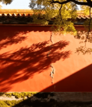 故宫红墙秋景光影画面5788#横屏 