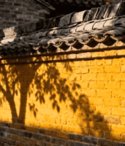 	 古建筑黄墙光影景观13724#横屏 