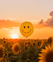 夕阳下向日葵田中的笑脸气球12049#横屏 