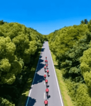 公路骑行队伍穿行森林4183#横屏 