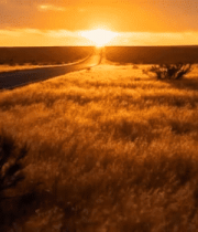 	 公路旁草原夕阳景色12108#横屏 