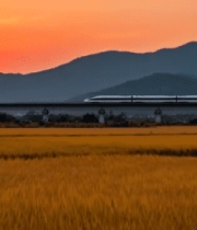 夕阳下高铁穿行稻田与山脉5625#横屏 