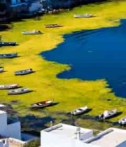 海岸停泊船只及沿岸建筑景观14562#横屏 