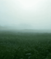 雾中草地自然风光1697#横屏 