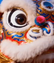 舞狮头特写 背景红灯笼1736#横屏 