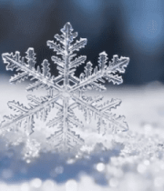 微距雪花特写(5)8922#横屏 