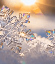 微距雪花特写雪景素材10770#横屏 