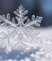 微距雪花特写(5)8922#横屏 