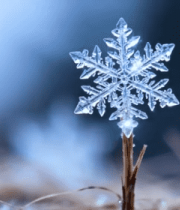微距雪花特写(7)13280#横屏 