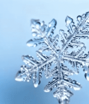 微距雪花特写(6)10355#横屏 