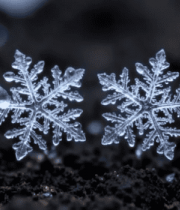 微距雪花特写10#横屏 