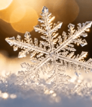 微距雪花特写(2)4337#横屏 