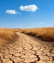 干旱土地与枯黄草地景象6675#横屏 