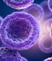 微观细胞渲染画面2278#横屏 