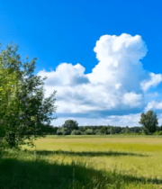 田野绿树蓝天白云自然景观3806#横屏 